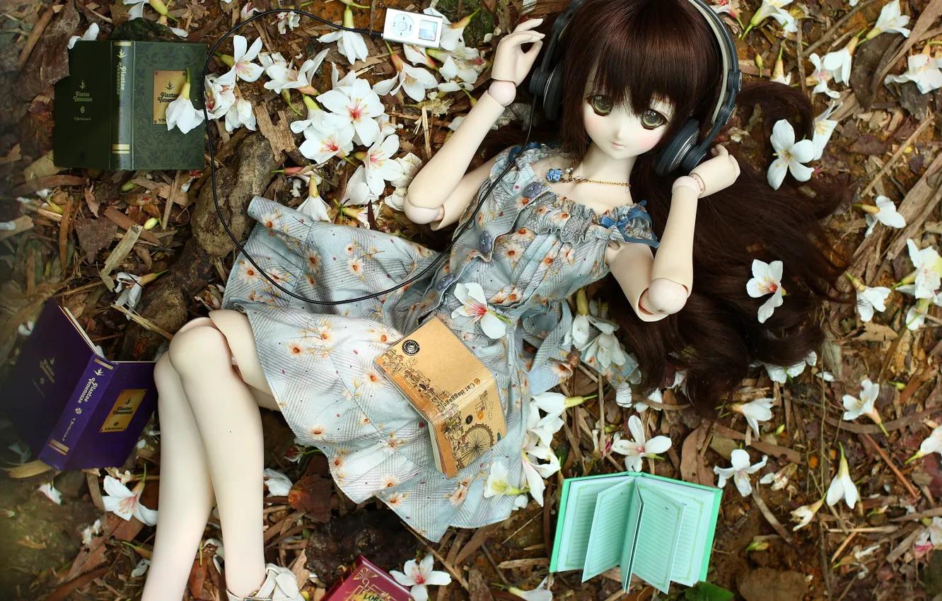Photo wallpaper toy, books, doll, headphones