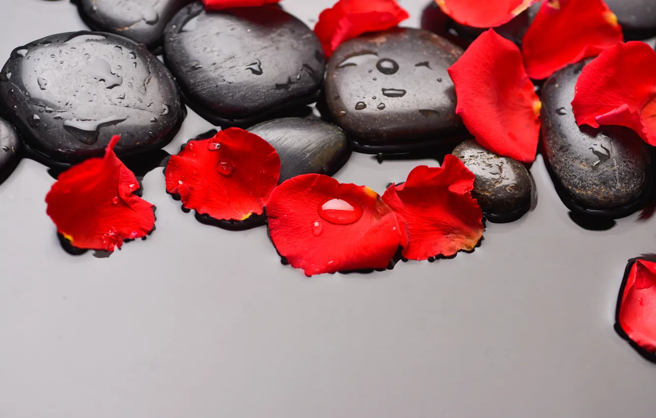Photo wallpaper water, stones, petals