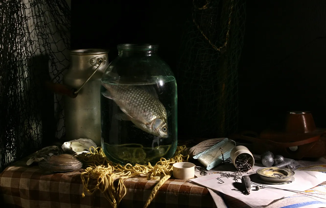 Photo wallpaper water, network, the dark background, table, fish, Bank, shell, still life