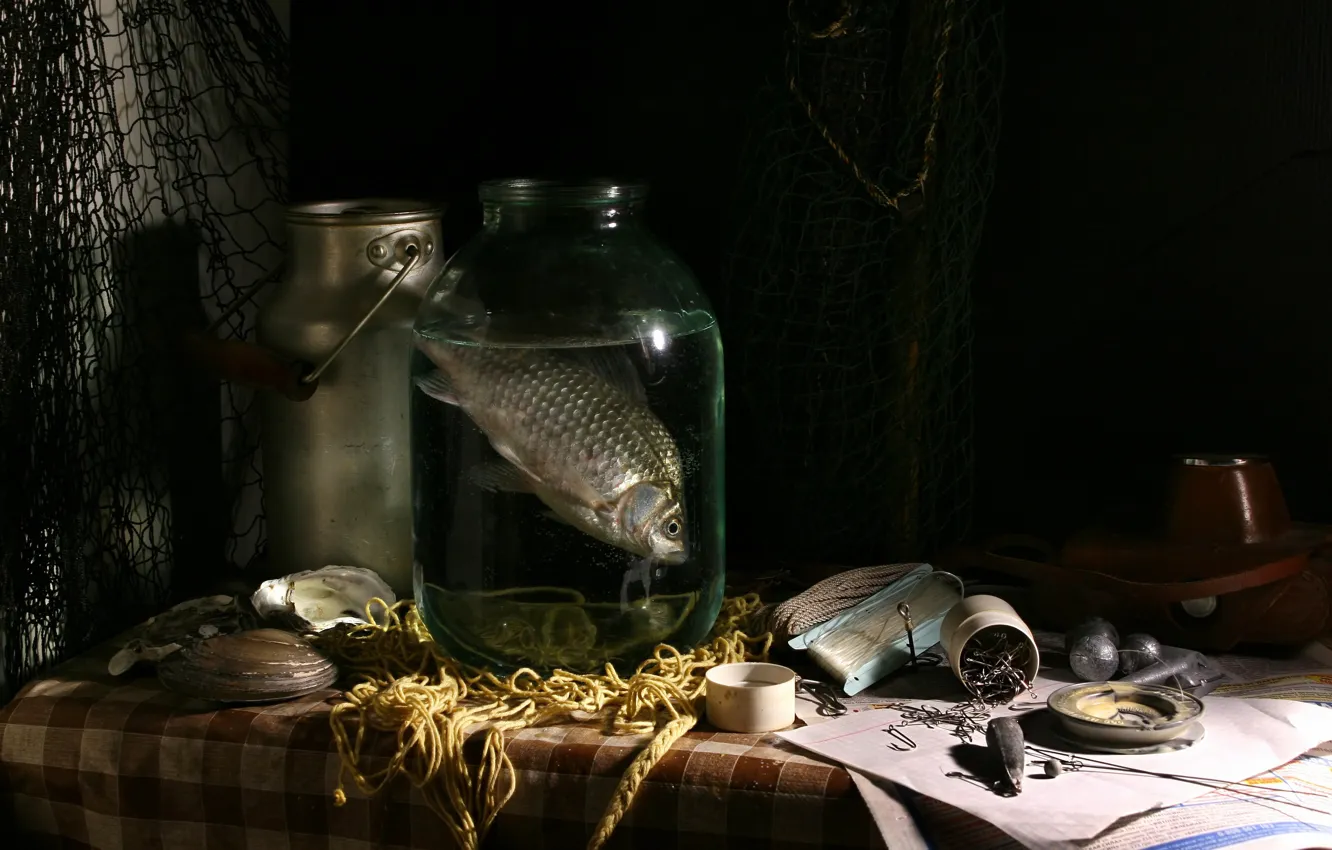 Photo wallpaper water, the dark background, table, network, fish, Bank, shell, still life