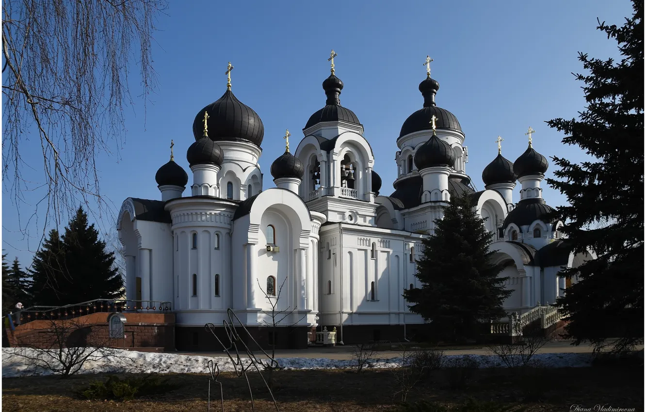 Photo wallpaper Cathedral, landscape, journey, Church