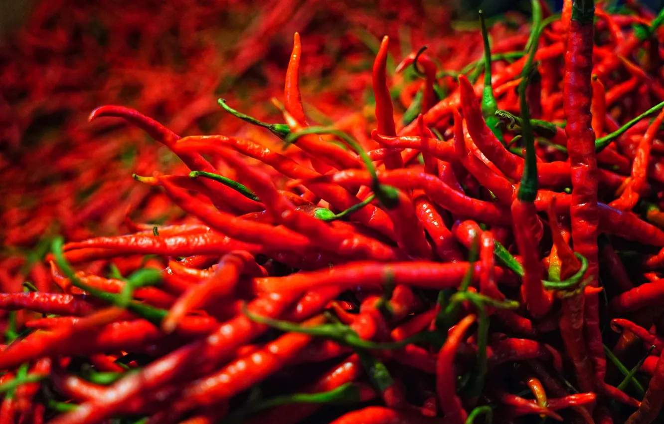 Photo wallpaper macro, pepper, a lot, Chile, pods, pepper, spicy