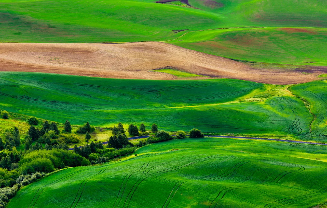 Photo wallpaper road, field, grass, trees, nature, hills, panorama