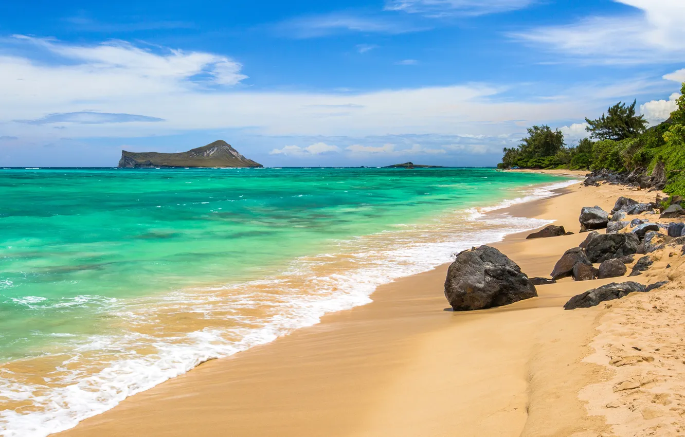 Photo wallpaper sand, beach, the sky, clouds, trees, tropics, stones, the ocean