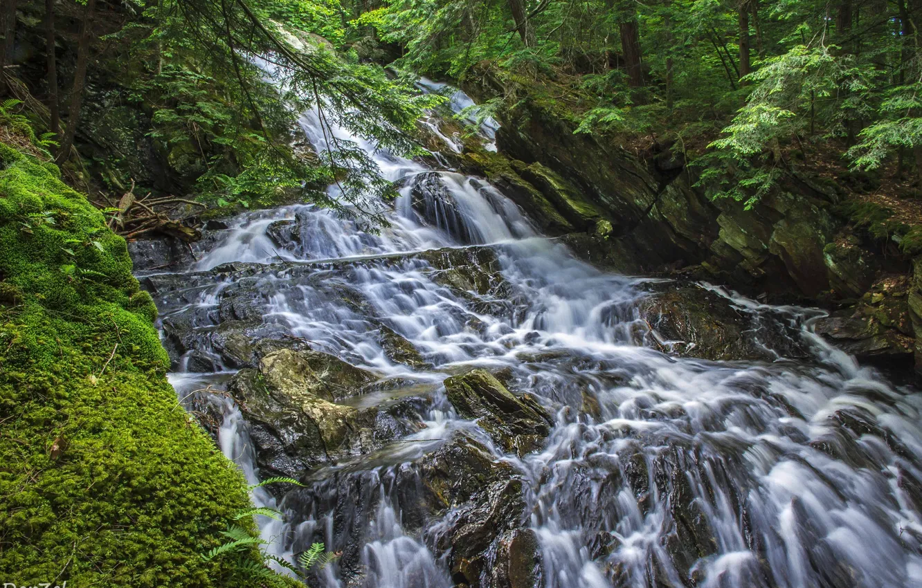 Photo wallpaper greens, water, rock, waterfall