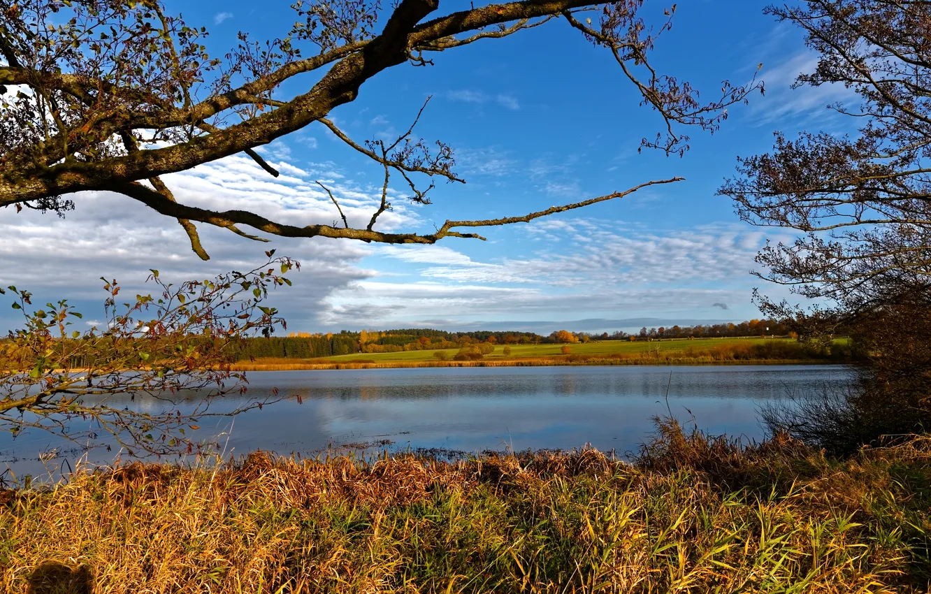 Photo wallpaper autumn, the sky, grass, clouds, trees, branches, river, Germany