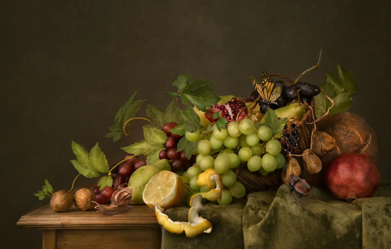 Photo wallpaper lemon, butterfly, snail, beetle, grapes, fruit, nuts, still life