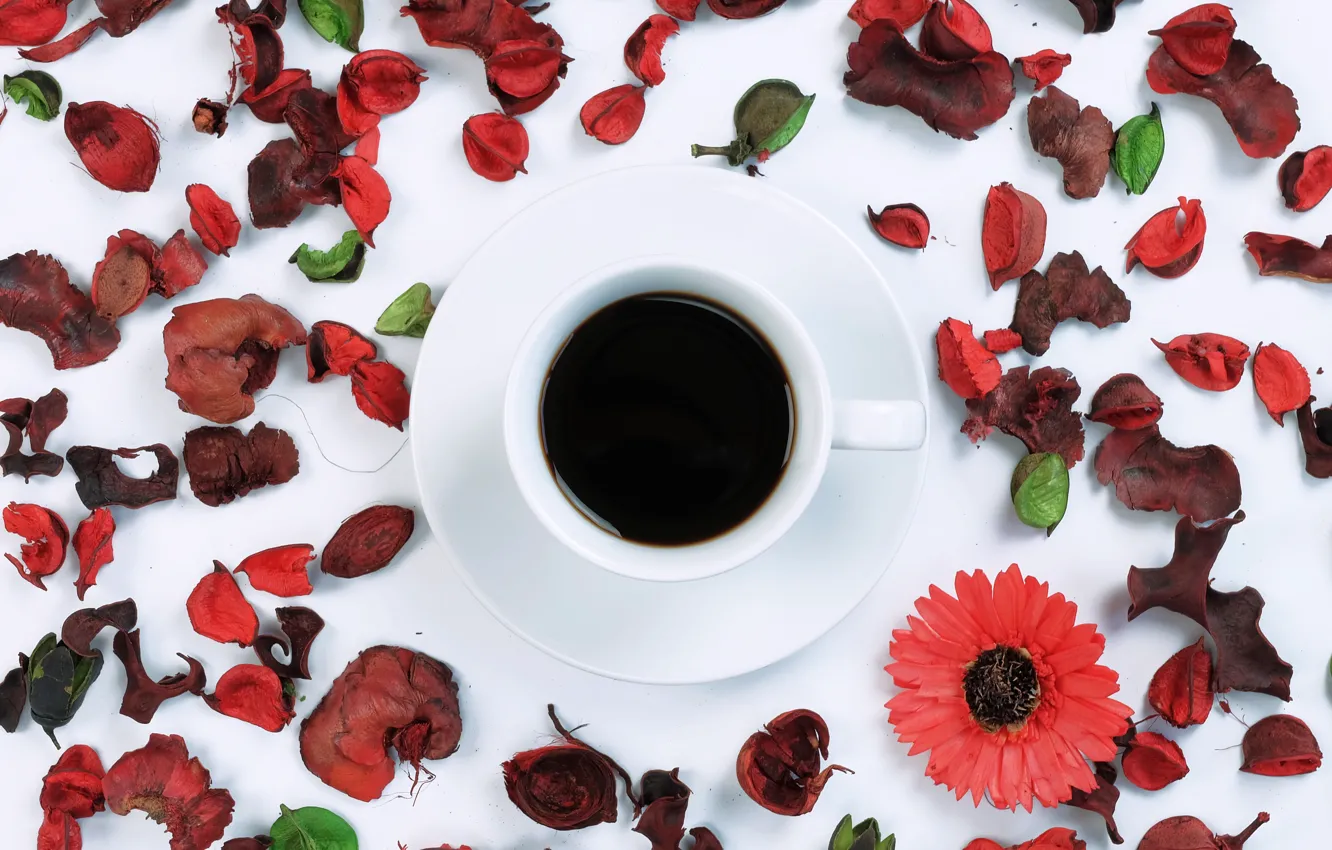 Photo wallpaper flowers, coffee, petals, Cup, flowers, cup, coffee, petals