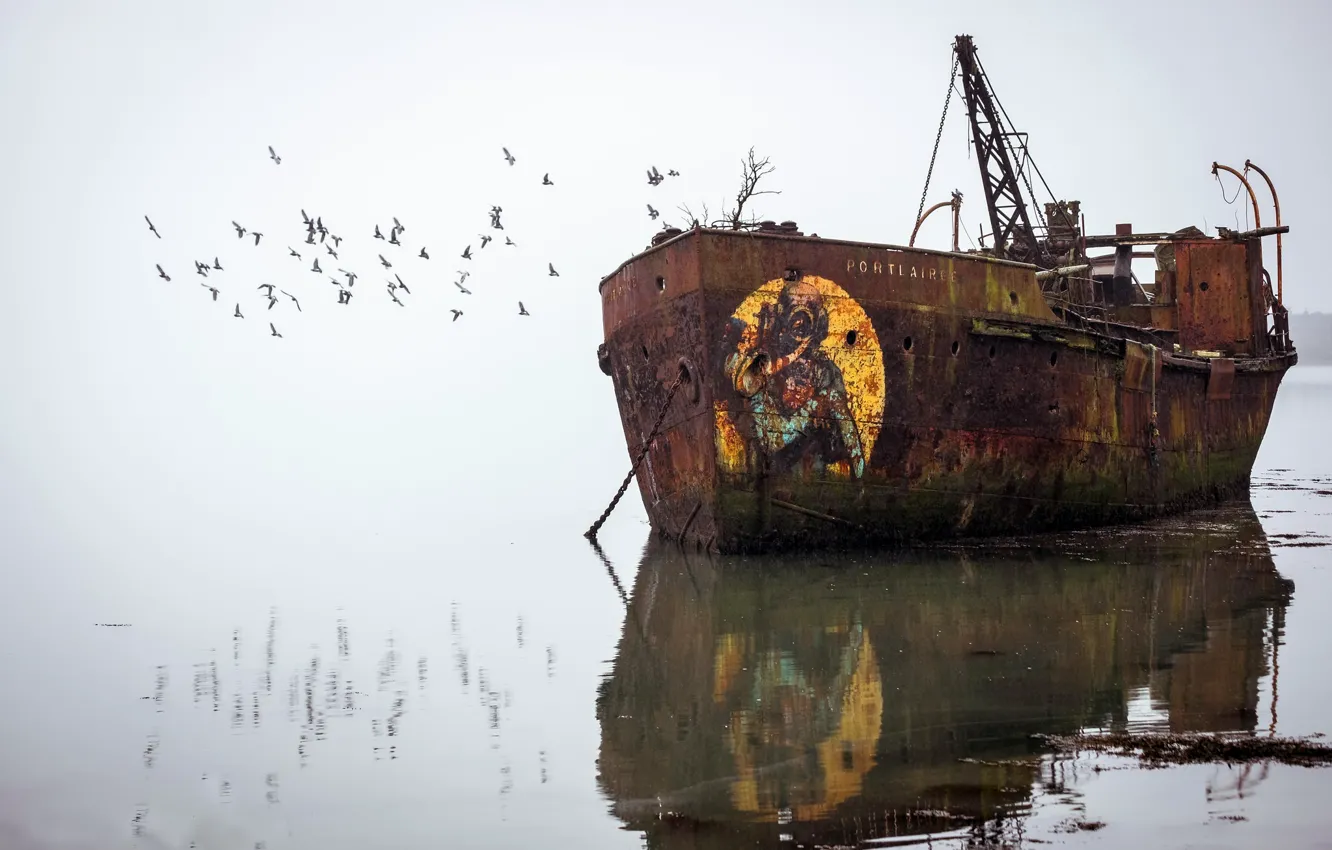 Photo wallpaper birds, fog, ship