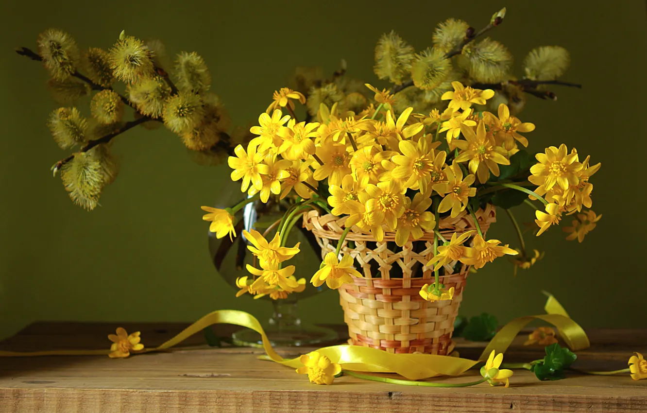Photo wallpaper basket, spring, Verba, primrose