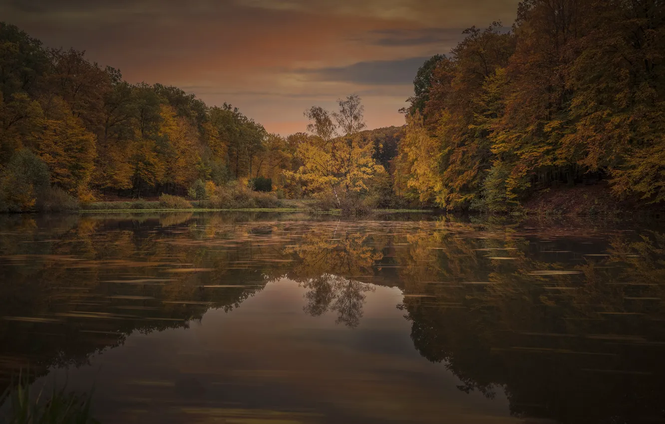 Photo wallpaper autumn, water, clouds, trees, lake, pond, reflection, overcast