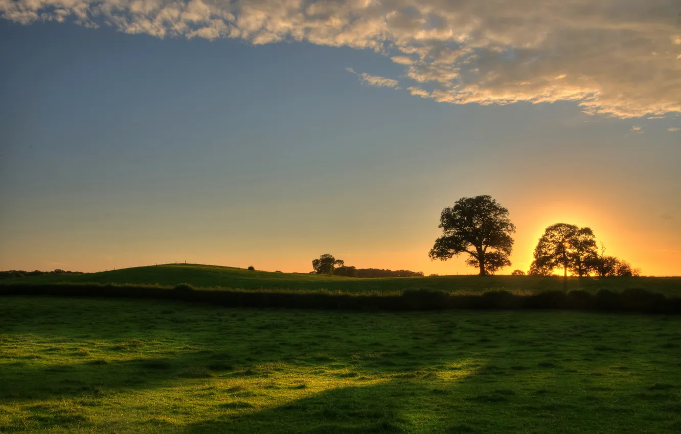 Photo wallpaper greens, the sky, grass, leaves, the sun, trees, landscape, sunset