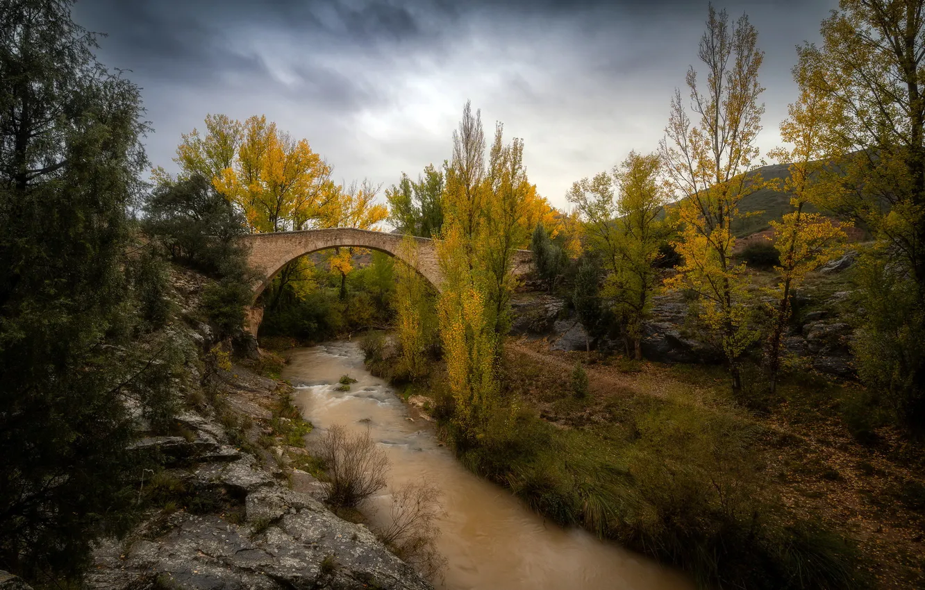 Photo wallpaper autumn, bridge, river