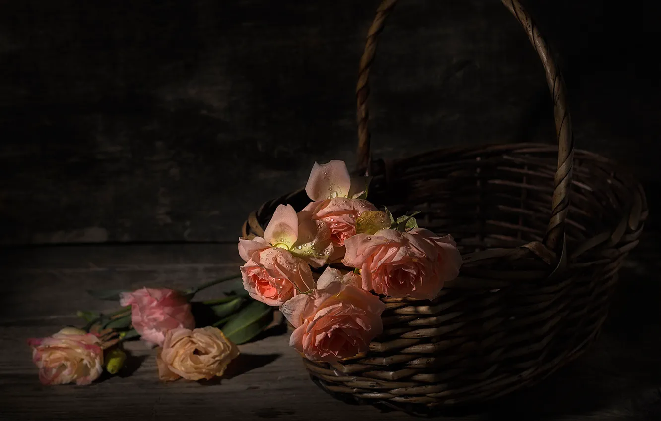 Photo wallpaper drops, roses, basket