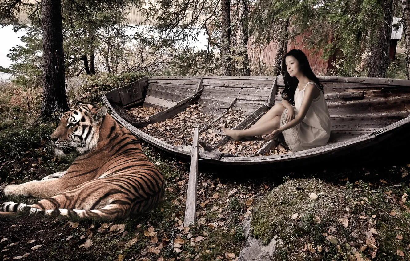 Photo wallpaper girl, tiger, boat