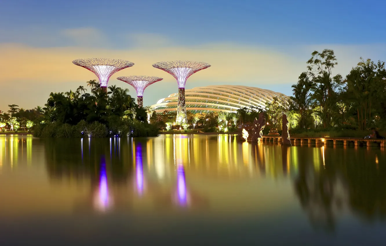 Photo wallpaper water, trees, lights, reflection, the evening, Singapore, tower, the dome
