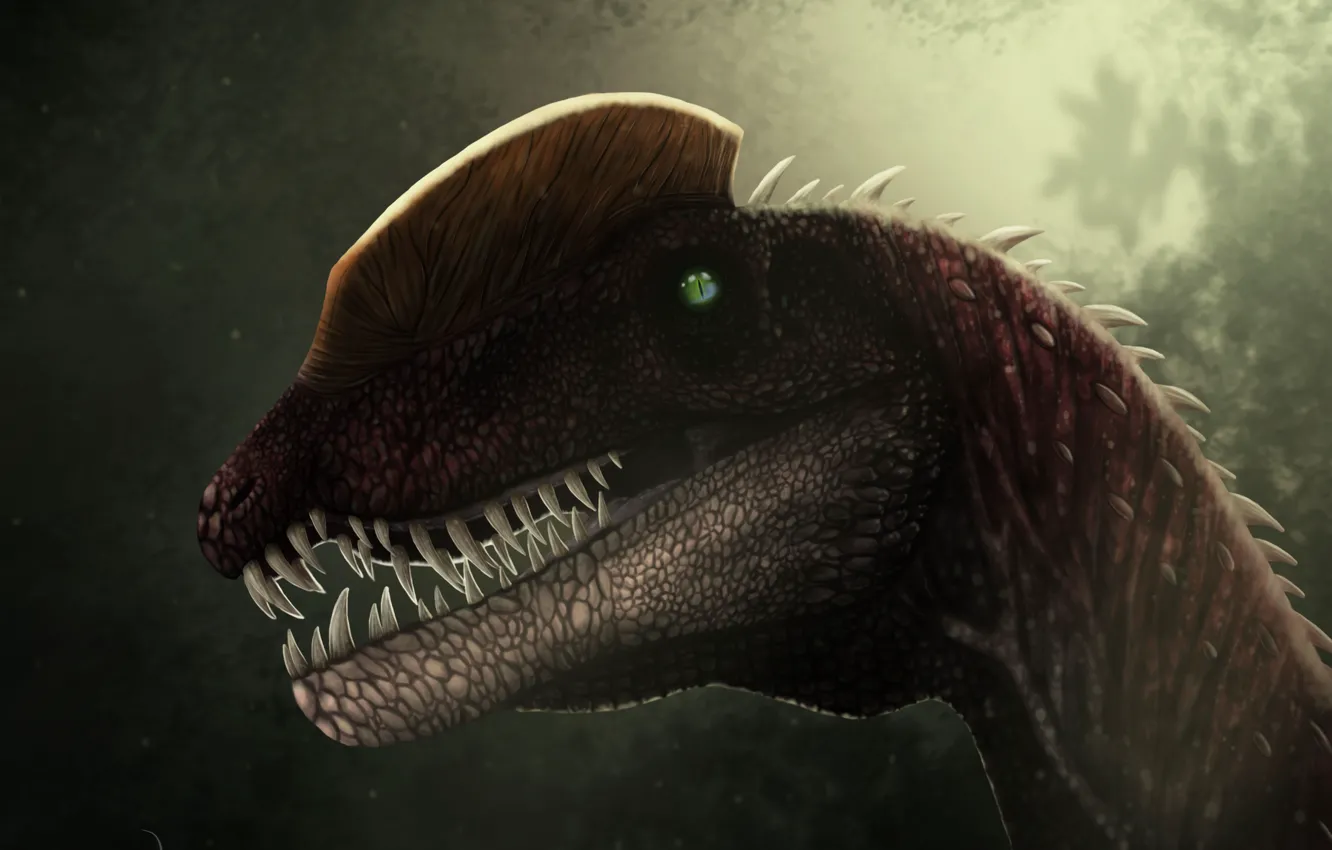 Photo wallpaper dinosaur, head, dilophosaurus