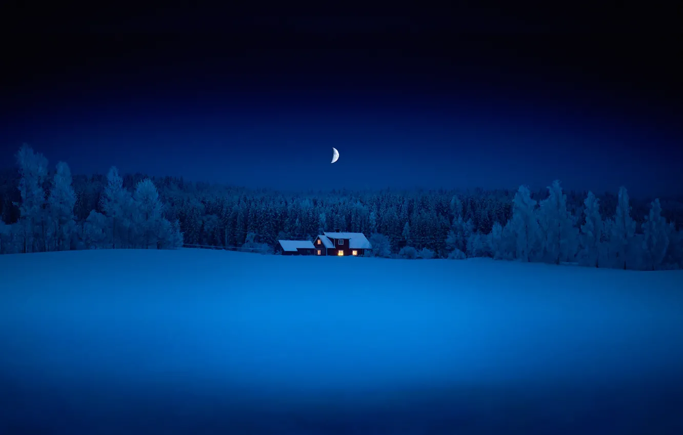 Photo wallpaper forest, snow, night, a month, house