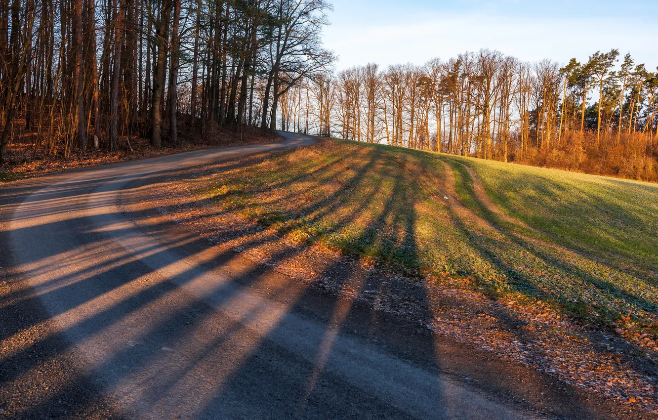 Photo wallpaper road, autumn, light, shadow