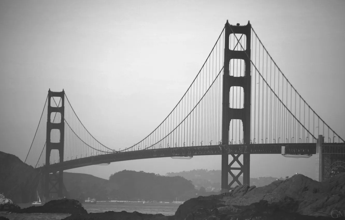 Photo wallpaper USA, Golden Gate Bridge, bridge, California, San Francisco, fog, black and white, architecture