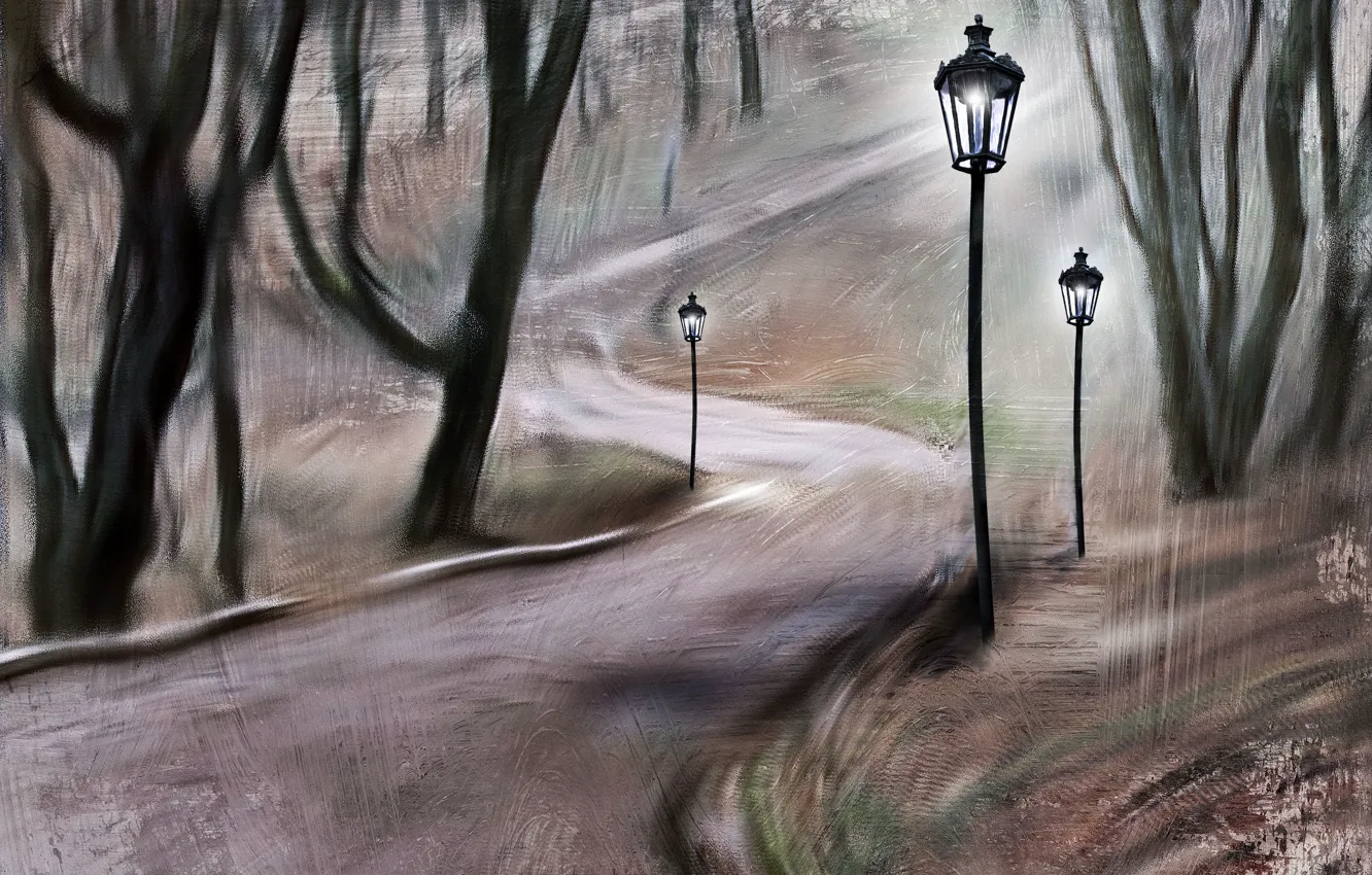 Photo wallpaper trees, Park, lights, track