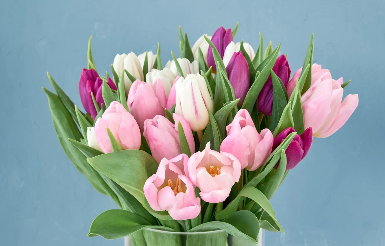 Photo wallpaper flowers, bouquet, tulips, pink, pink, flowers, tulips, purple