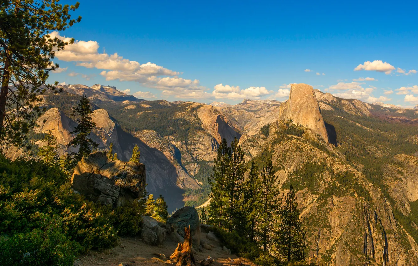 Photo wallpaper forest, the sky, the sun, clouds, trees, mountains, stones, rocks