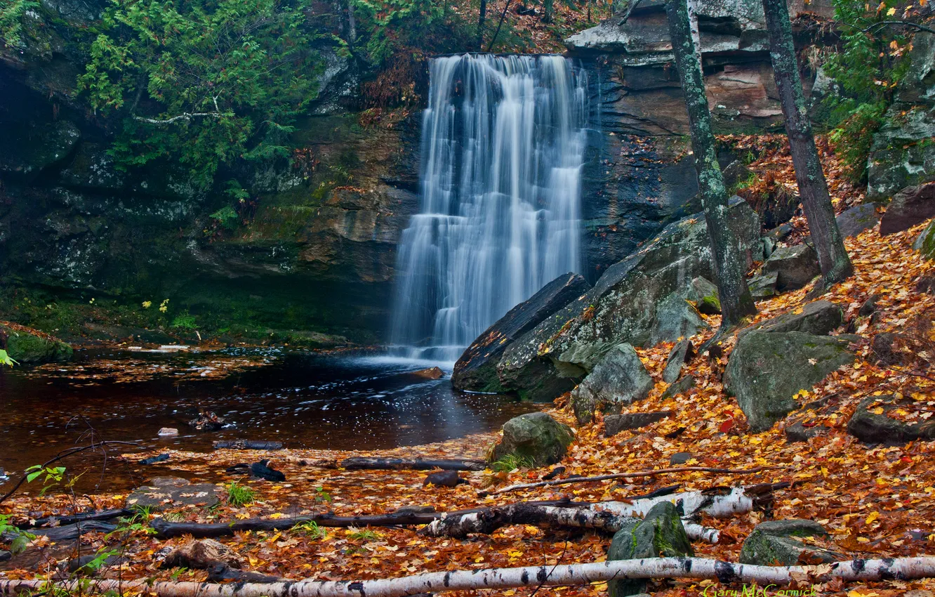 Photo wallpaper autumn, forest, leaves, trees, river, stones, waterfall