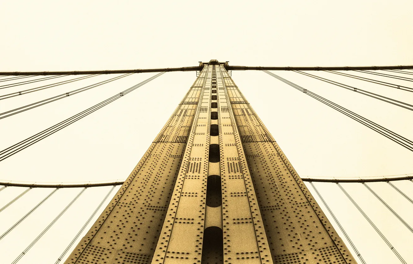 Photo wallpaper bridge, the city, support