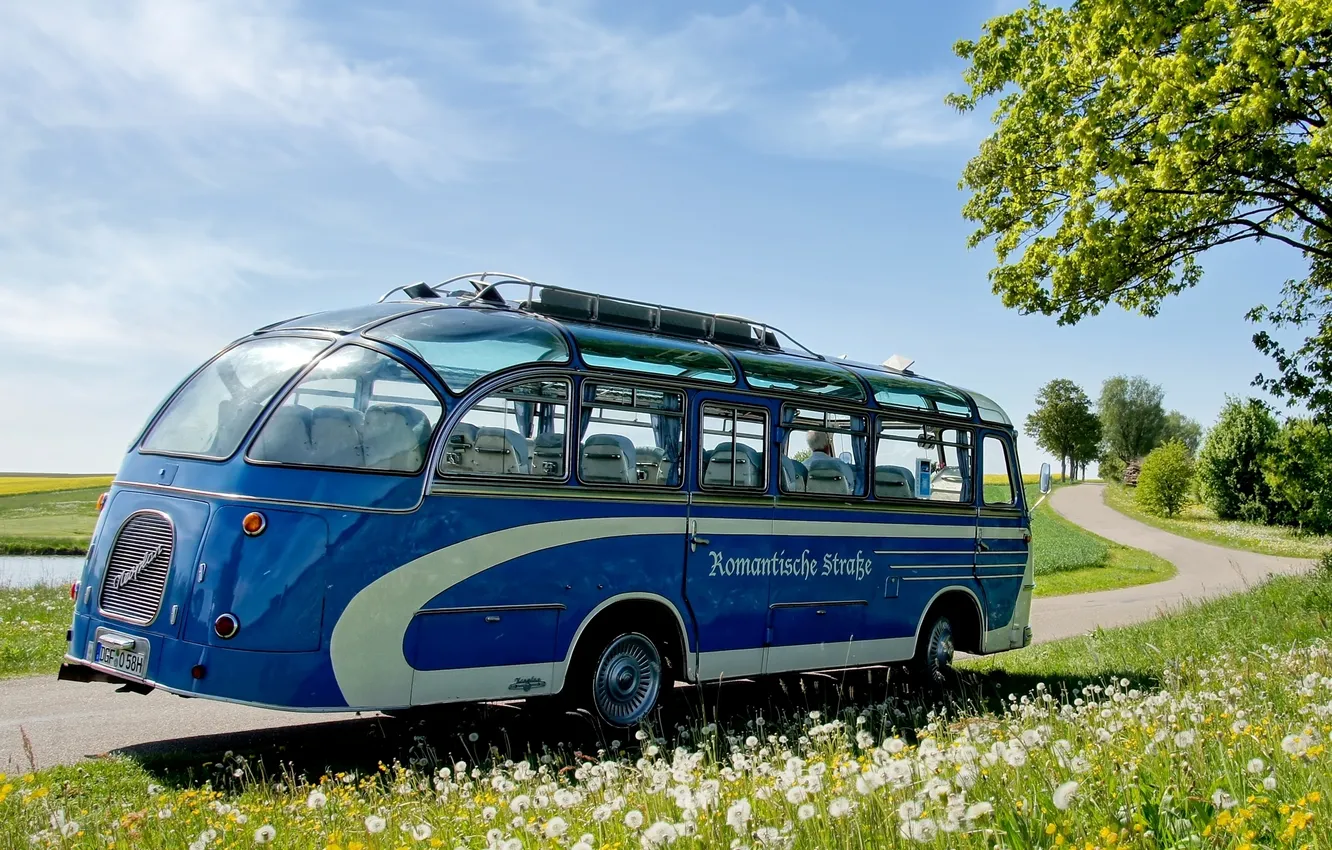 Photo wallpaper road, the sky, grass, trees, flowers, blue, dandelion, bus