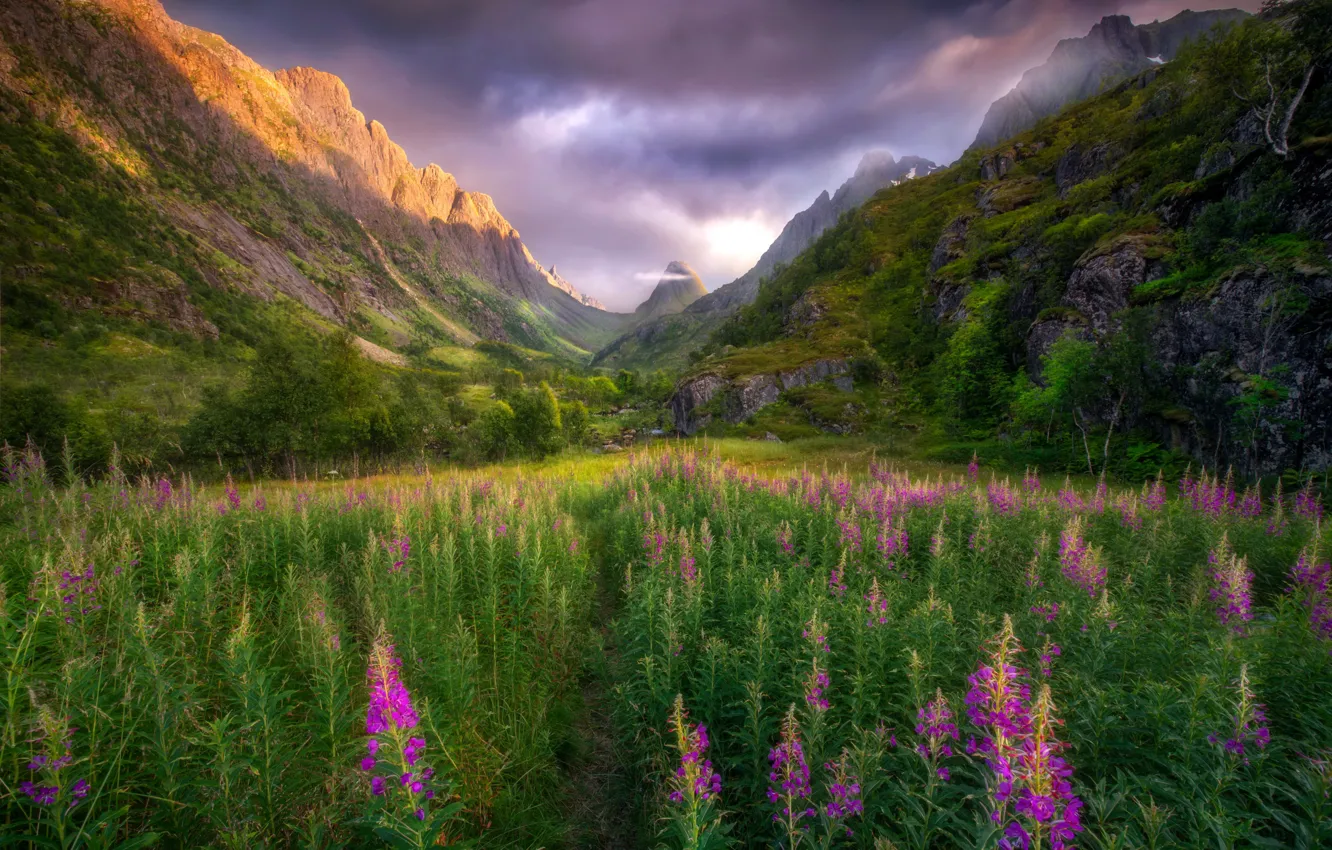 Photo wallpaper mountains, nature, valley