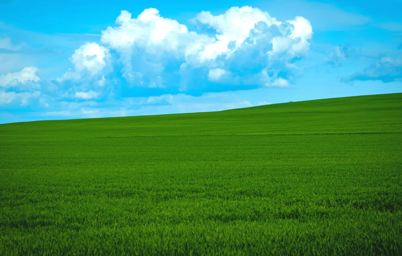Photo wallpaper grass, sky, field, clouds