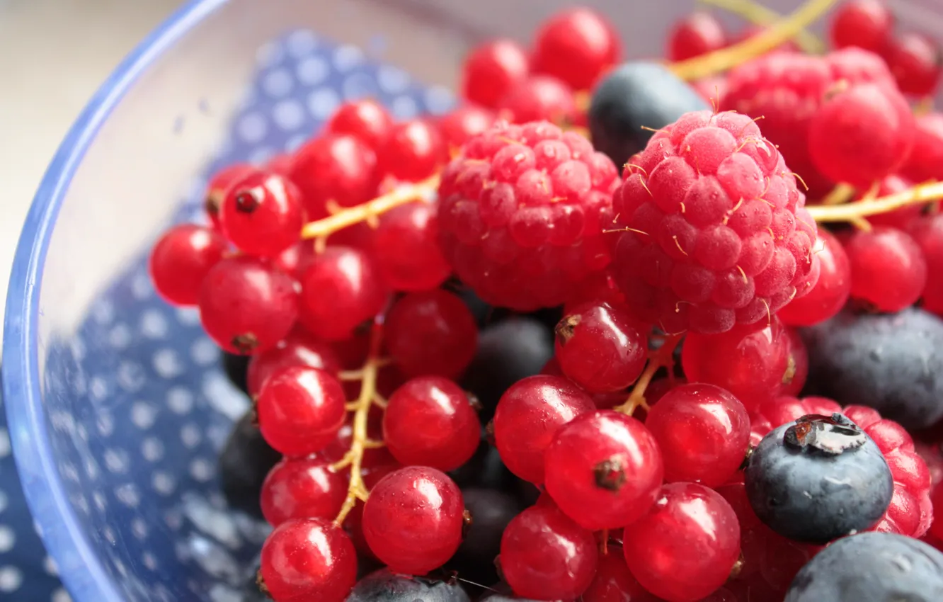 Photo wallpaper Berries, Raspberry, Berries, Red currant