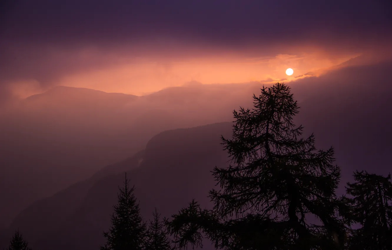 Photo wallpaper the sky, the sun, clouds, trees, sunset, mountains, nature, fog