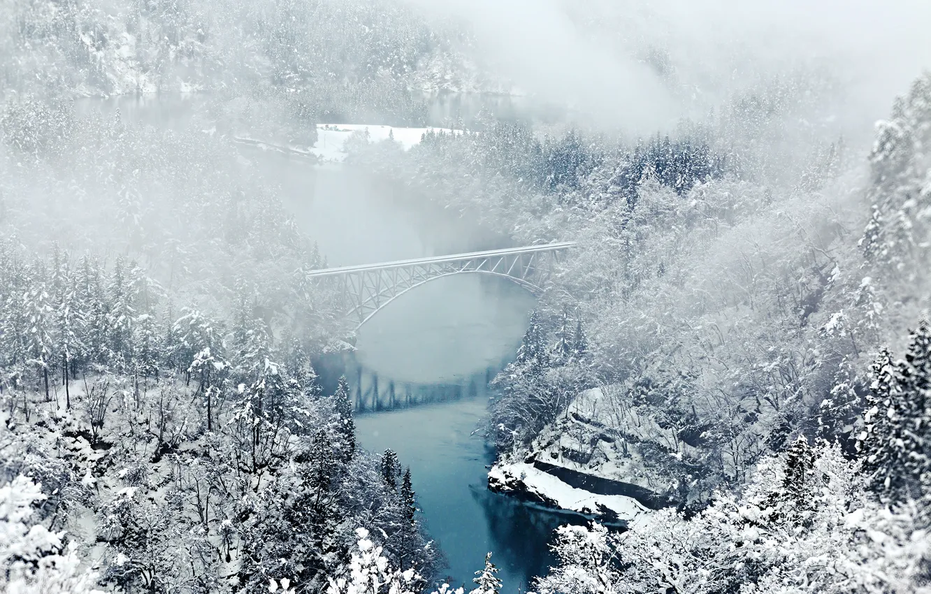 Photo wallpaper winter, forest, bridge, nature, river