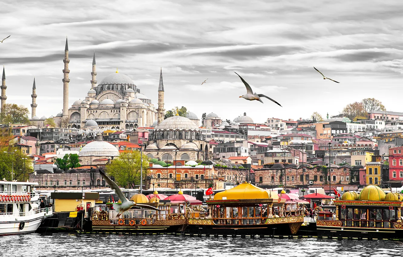 Photo wallpaper seagulls, home, boats, tower, boats, Istanbul, Turkey, Palace