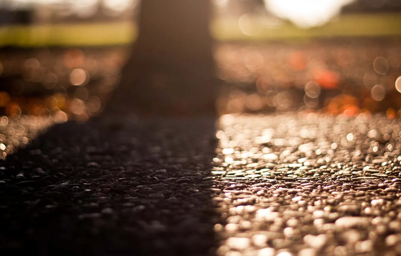 Photo wallpaper asphalt, the sun, macro, trees, background, earth, widescreen, Wallpaper