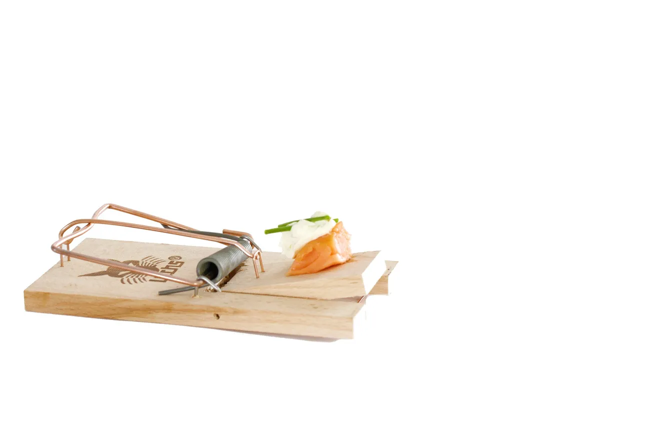 Photo wallpaper background, mousetrap, bait
