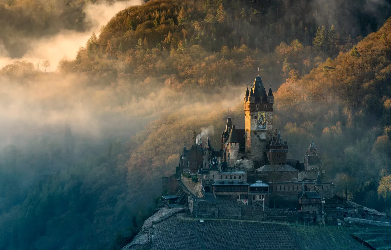 Photo wallpaper forest, the sun, trees, mountains, fog, castle, dawn, Germany
