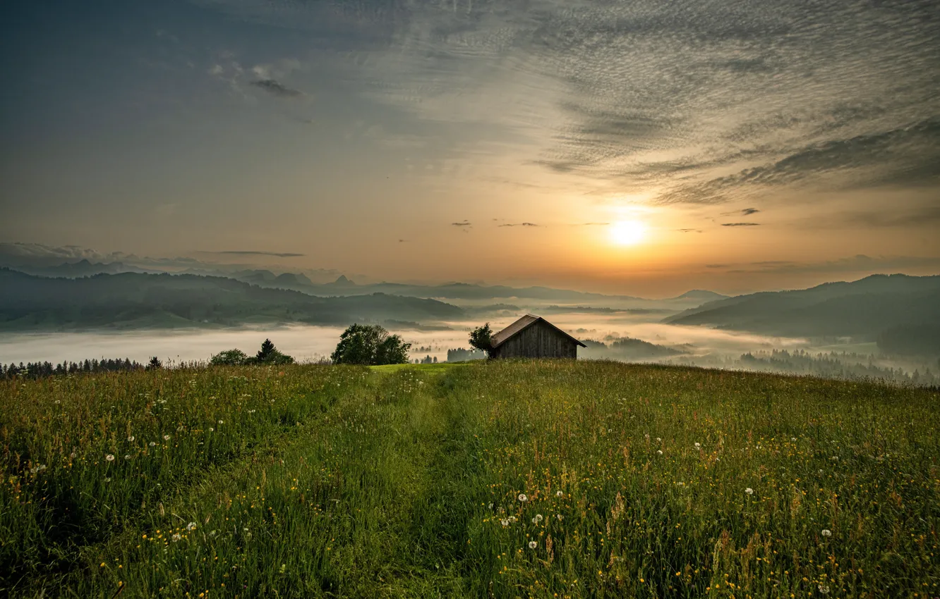 Photo wallpaper greens, field, summer, the sky, grass, the sun, clouds, light