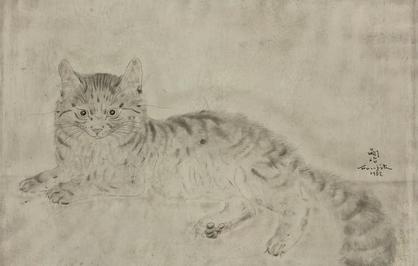 Photo wallpaper cat, black and white, 1932, Tsuguharu Foujita