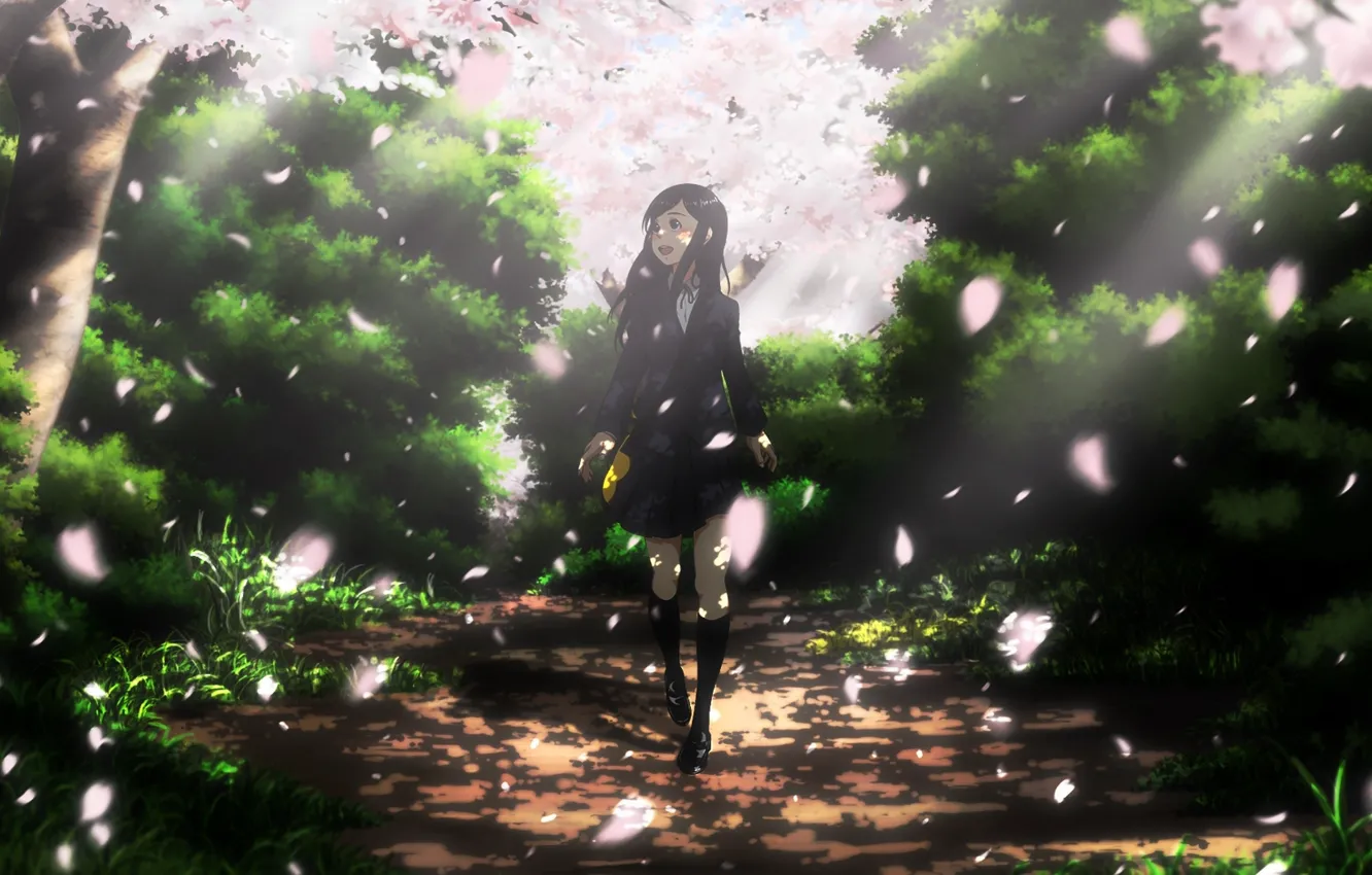Photo wallpaper petals, Sakura, path, walks, is