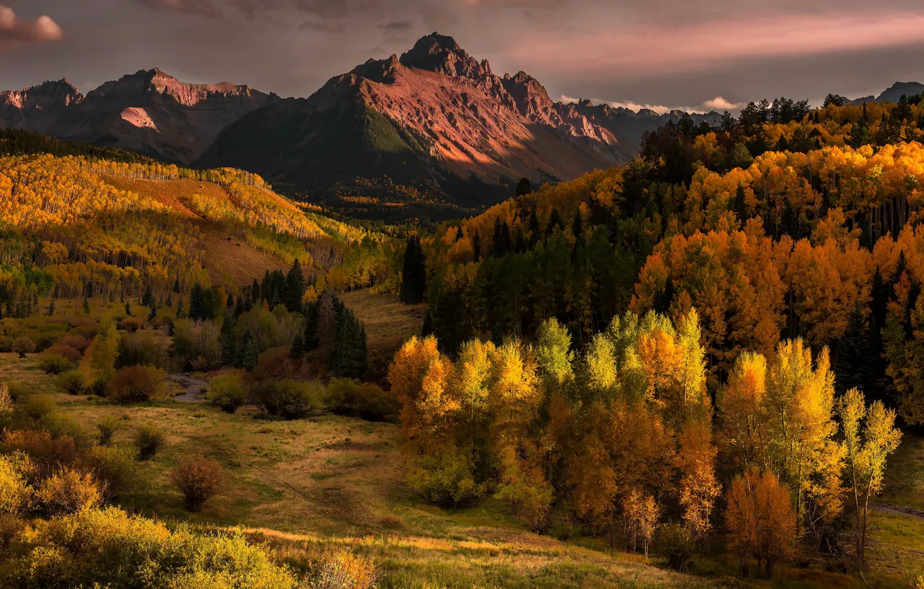 Photo wallpaper autumn, forest, light, trees, mountains, orange, yellow, hills