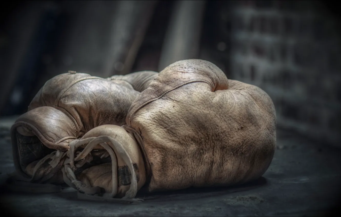 Photo wallpaper sport, Boxing, gloves