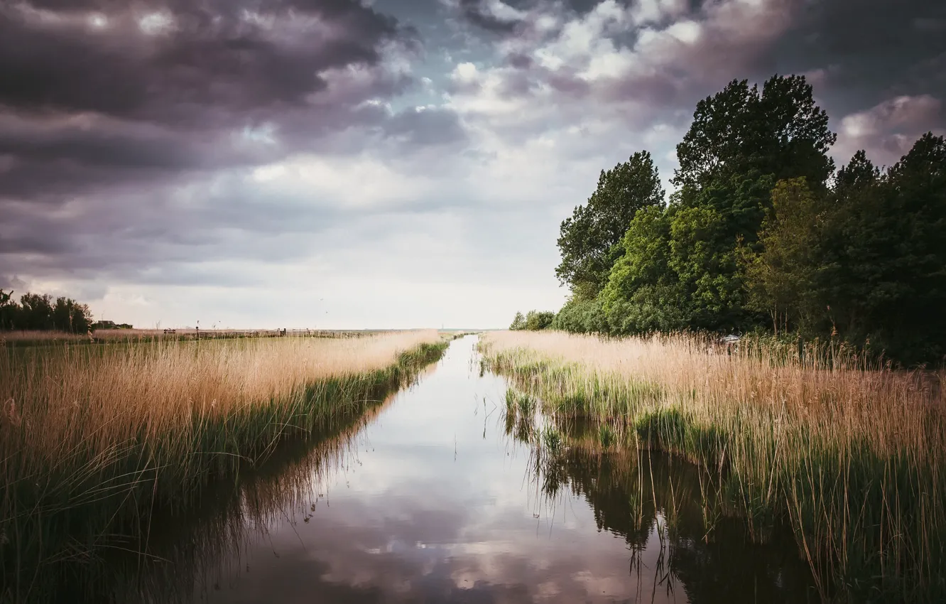 Photo wallpaper field, the sky, channel