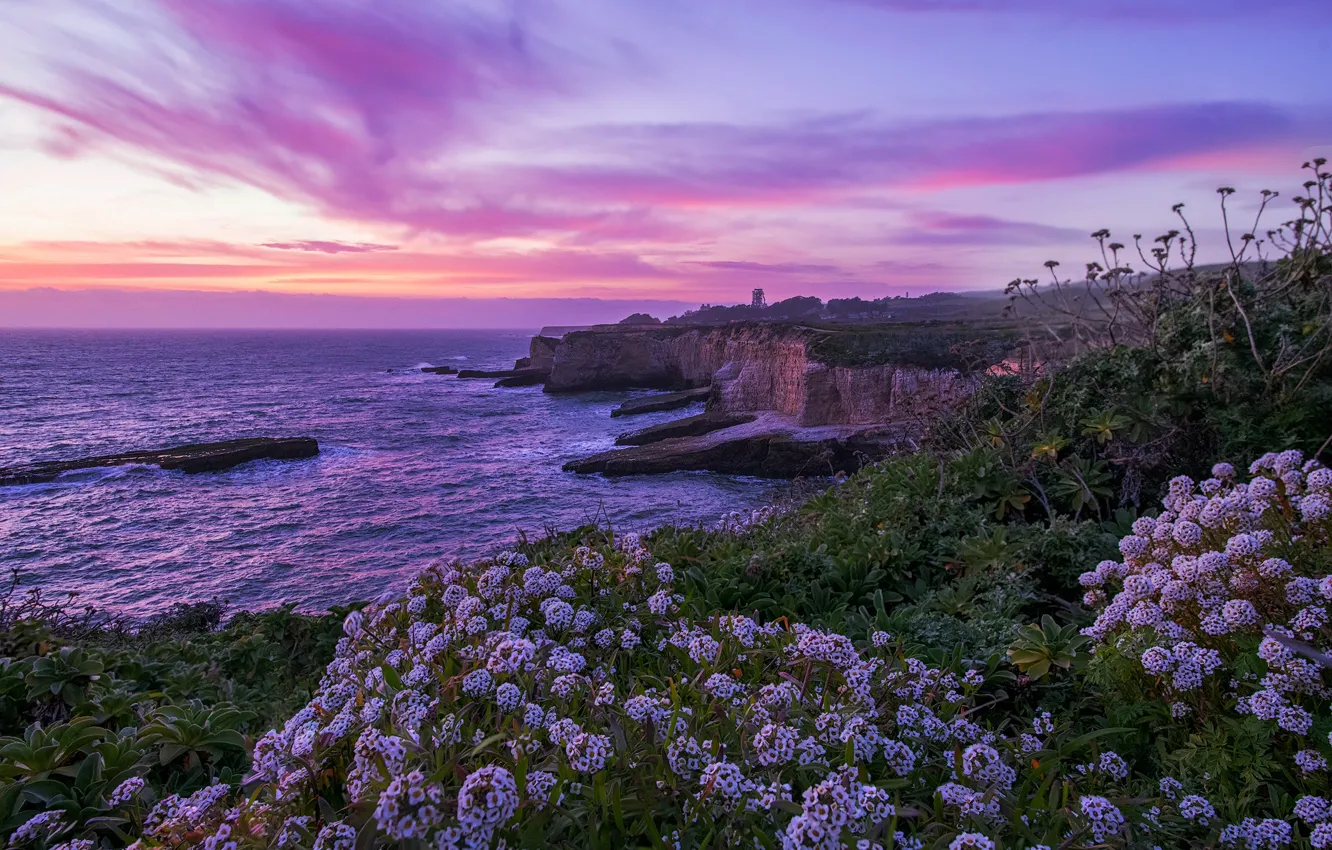 Photo wallpaper sunset, flowers, the ocean, rocks, coast, CA, Pacific Ocean, California