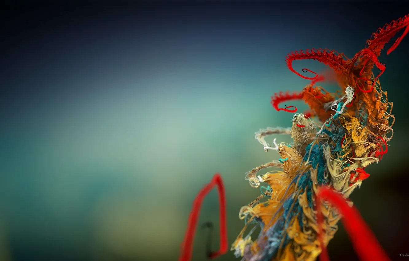 Photo wallpaper painting, abstraction, plant, colourfull