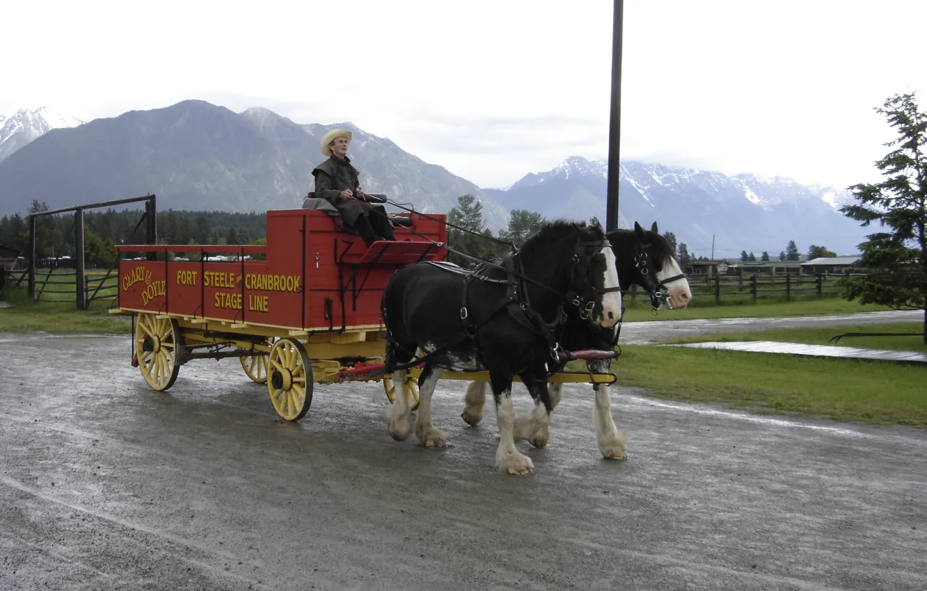 Photo wallpaper British Columbia, wagon, Horses, B.C., cranbrook, fort steele