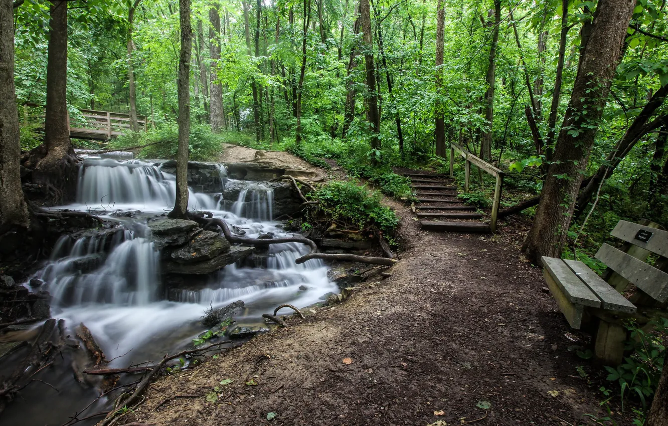 Photo wallpaper forest, bench, stream, waterfall