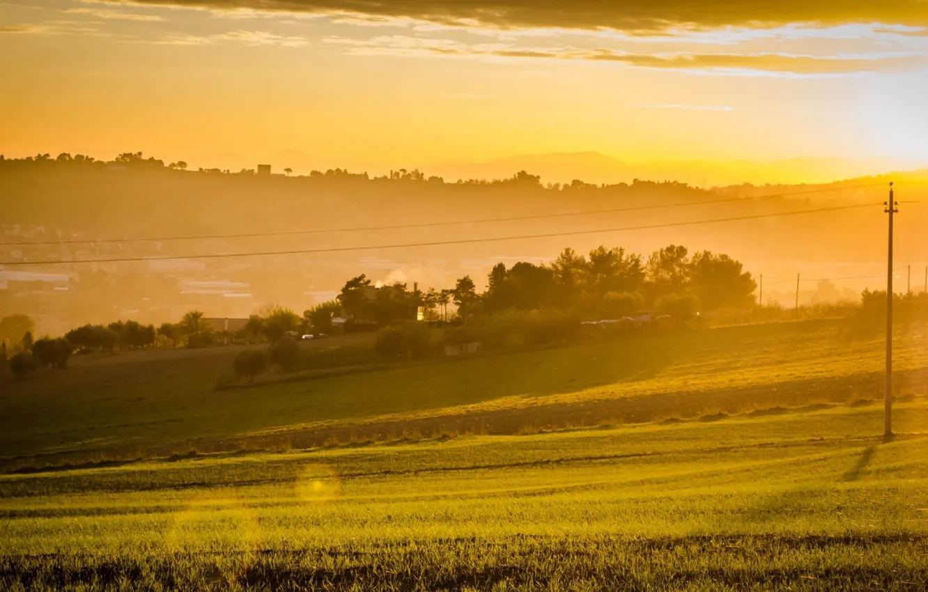 Photo wallpaper field, summer, the sky, landscape, fog, photo, dawn